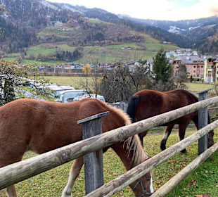 Wandern St. Johann im Pongau