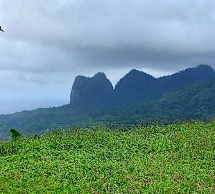Parque Natural Obô do Príncipe