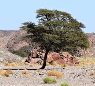 Ausflüge Marsa Alam-Wadi Abenteuer Safari 