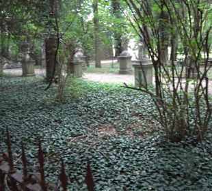 Schlosspark St. Emmeram