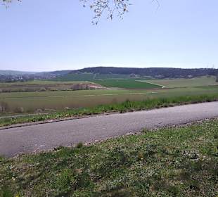 Unzählige verschiedene Grüntöne