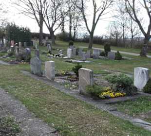 Friedhof 
