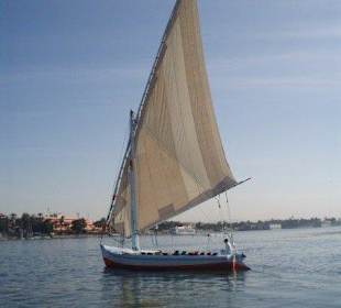 Star felucca à Louxor