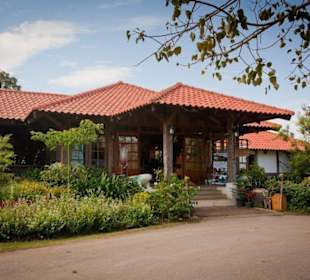 The Great Hornbill Grill