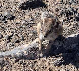 Wandern Bergsender Jandia