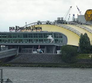 König der Löwen