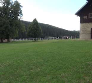 Haupt- und Landgestüt Marbach