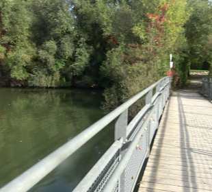 Wanderung zur Burgruine Liebenau