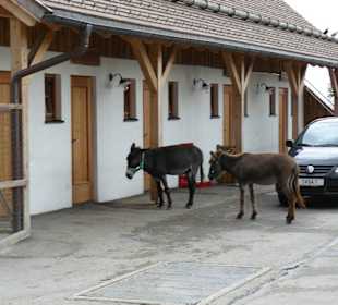 Was ist wohl hinter diesen Türen?