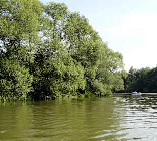 Der Kiessee von der Wasserseite
