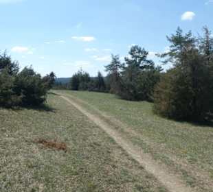 Unterwegs auf dem Wacholder-Wanderweg