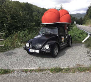 Schlössle von Effringen