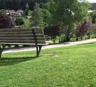 Wanderung Klosterquelle Klosterreichenbach
