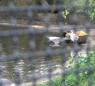 Tierpark 