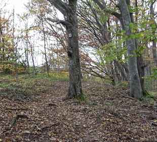 Wandern um die Rauber Ruine