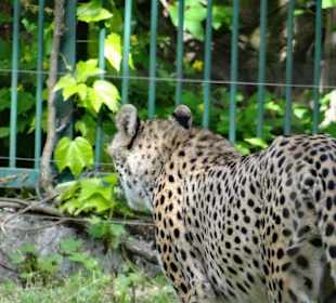 Rundgang im Tierpark