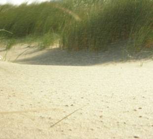 Strand auf Texel