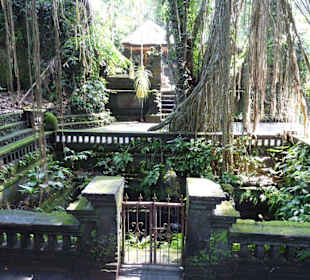 Affenwald in Ubud