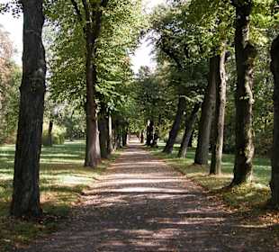 Park von Schloß Belvedere