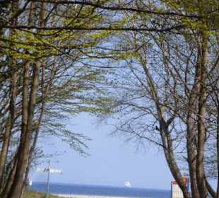 Eindrücke von unseren Priwallwanderungen