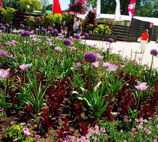 Blumenpracht am Eingang