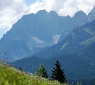 Alpenpanorama
