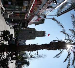 Altstadtgemäuer bei Sonnenschein