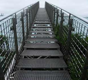 Ogród Biblioteki Uniwersytetu Warszawskiego