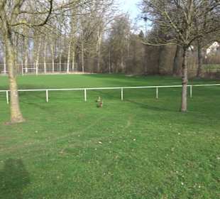 Erwin-Waldner-Stadion Neckarhausen