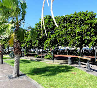 Die Uferpromenade von Basse-Terre