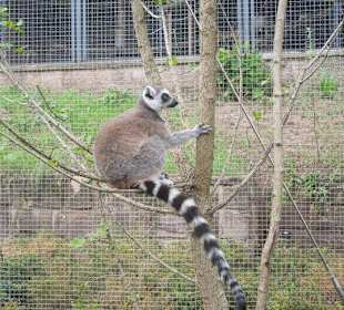 Zoopark Erfurt