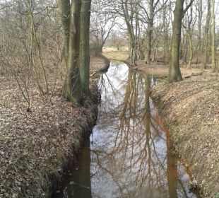 Naturschutzgebiet