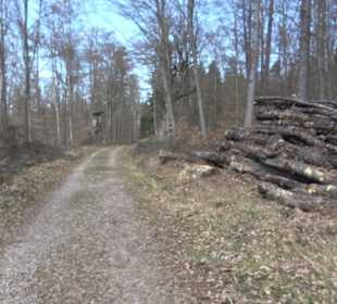 Geologischer Lehrpfad Kirnbachtal