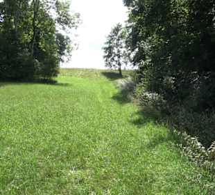 Burgruine Blankenstein