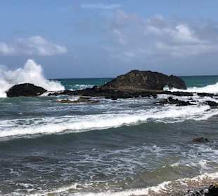 Der trinkende Drache