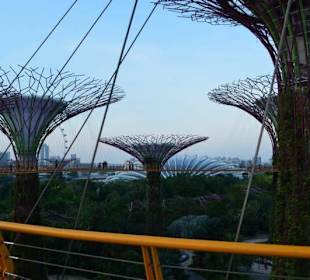 Gardens by the Bay