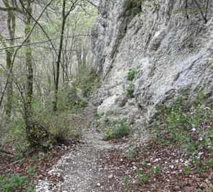Burgruine Hohenhundersingen