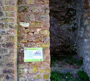 Burgruine Hohenburg in Homburg