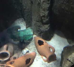  Lego X-Treme - Legoland Atlantis by SEA LIFE