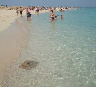 Am Strand