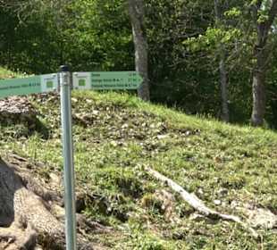 Premiumwanderweg Hochgehschätzt