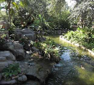 Parkanlage / wunscherschön angelegt Botanik