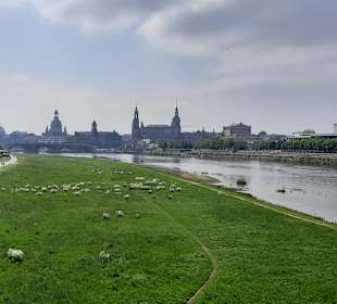 Stadtrundgang Dresden