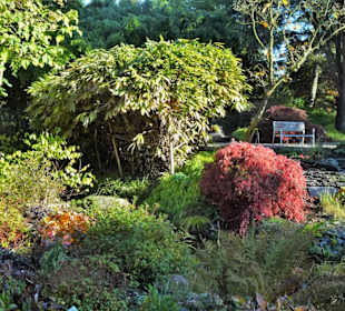 Rundgang durch den Botanischen Garten Hamburg