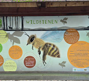 Insektenerklärungen