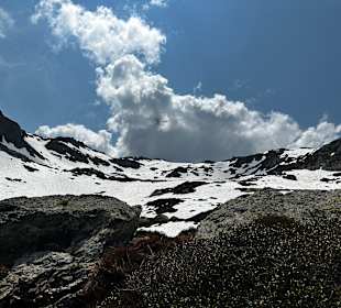Wandern