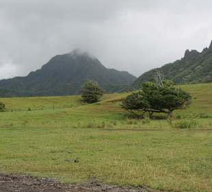 Kualoa Ranch