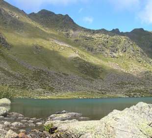 Detalle de lago