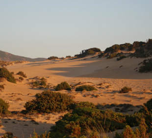 Le dune di Piscinas