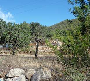 Hinterland - etwa 10 Gehminuten von der Cala